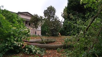 In Nordhausens Park Hohenrode wurde Ende vergangener Woche Geburtstag gefeiert - trotz Sturmsch&auml;den (Foto: Angelo Glashagel)