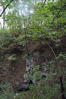 30 Meter tief, 80 Meter im Umfang - der Erdfall ist eindrucksvoll, von au&szlig;en aber kaum wahrnehmbar (Foto: nnz)