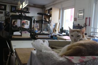 Im Reich von Heike Pfeng ist es zwar etwas beengt, daf&uuml;r aber auch spannend (Foto: Angelo Glashagel)