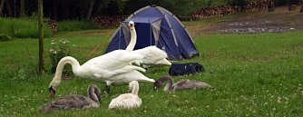 Lagerfeuerromantik (Foto: nnz)