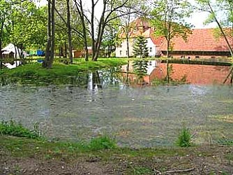 Ein besonderes Gut (Foto: nnz)