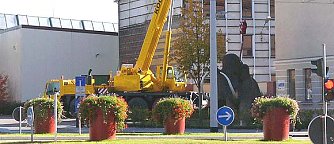 nnz-Foto des Tages: Tierischer Umzug (Foto: nnz)