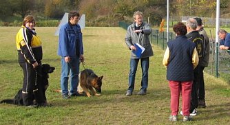 Pr&uuml;fung f&uuml;r Vierbeiner (Foto: nnz)