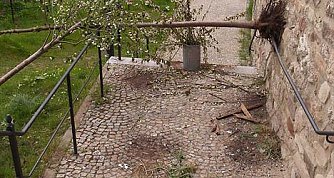 Das habe ich noch nicht gesehen! (Foto: nnz)