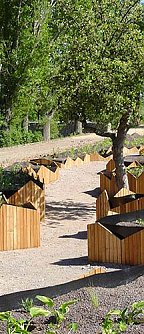 LGS-Traumg&auml;rten (Foto: nnz)