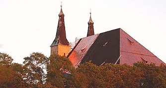 nnz-Foto des Tages: Leuchtendes Rot (Foto: nnz)