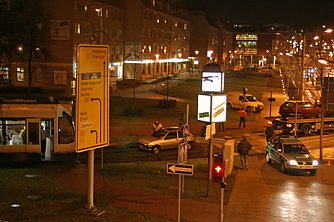 nnz-Foto des Tages: Weiteres Opfer (Foto: nnz)