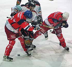 W&ouml;lfe k&auml;mpfen Drachen (Foto: nnz)