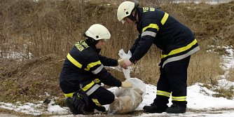 Mysteri&ouml;ser Sack gefunden (Foto: nnz)