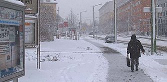 nnz-Fotos des Tages: Unterschiede (Foto: nnz)