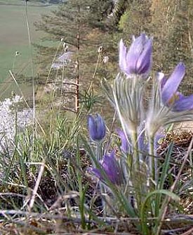 Saison wird er&ouml;ffnet (Foto: nnz)