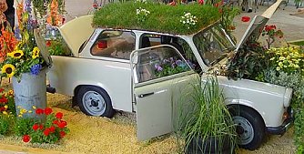 Flower Power (Foto: nnz)