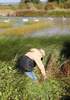 Projekttage bei der Fischzucht Auleben (Foto: Silke Schulze)