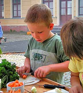 Dschungelfieber auf dem Berg (Foto: nnz)