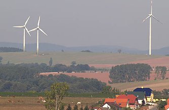 nnz-Foto des Tages (Foto: nnz)