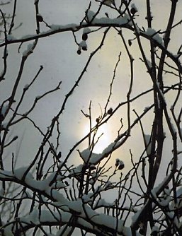 Romantik (Foto: H. Kneffel)