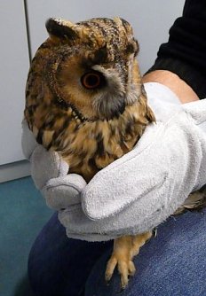 &Uuml;bernachtet (Foto: J. Piper)