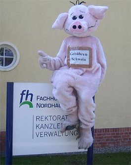 Scheinischer Besuch (Foto: nnz)