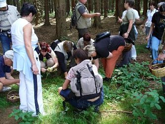 Gesammelt (Foto: HU)