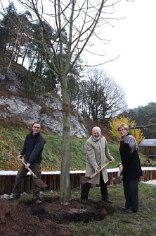 Baum gepflanzt (Foto: psv)