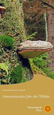 Jahr des Waldes (Foto: Nationalpark Harz)