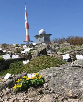 Brockengarten (Foto: privat)