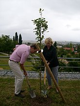 Baum gepflanzt (Foto: T. Wendehost)
