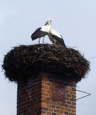 Ein Paar (Foto: Junker)