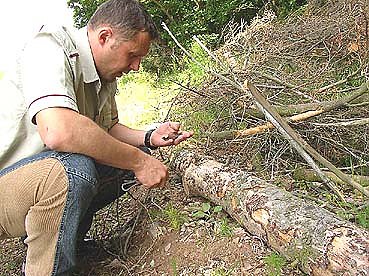 Auf Fress-Tour (Foto: nnz)