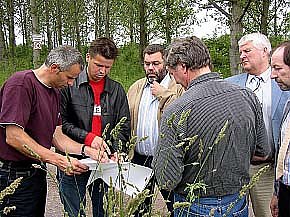 Es geht weiter (Foto: nnz)