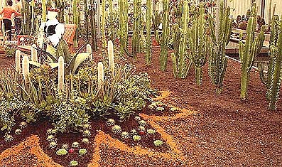 Stacheln aus dem Computer (Foto: nnz)