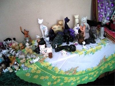 Alles zu haben (Foto: Tierhilfe)