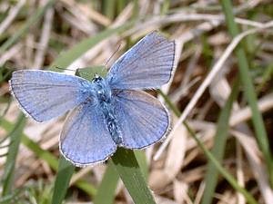 Entdecken (Foto: BUND)