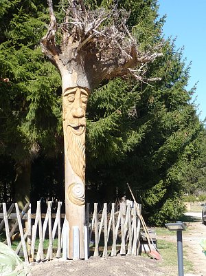 Waldgeist auf dem HohneHof (Foto: privat)