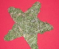 Sterne aus Moos (Foto: KILA)