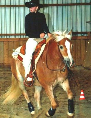 Turnier in Ellrich (Foto: Mertz)