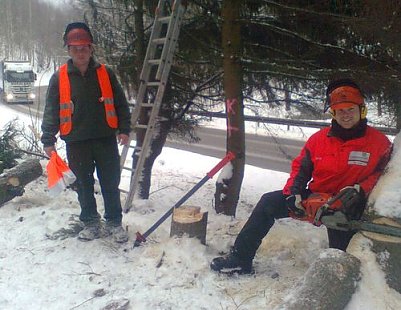 Ordnung geschaffen (Foto: Forstamt)
