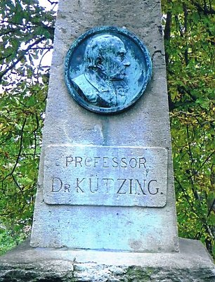 K&uuml;tzingdenkmal im Gehege (Foto: Archiv Kneffel)