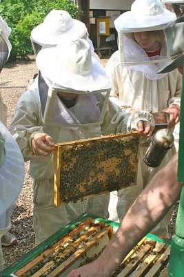 Sch&uuml;ler Imkerei (Foto: DBU)
