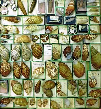 Blick in einen Kasten (Foto: Archiv Kneffel)