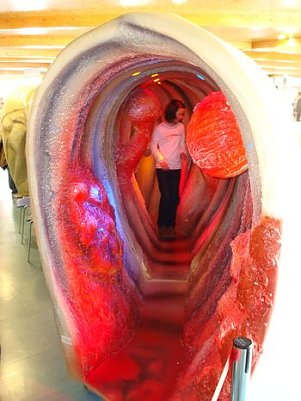 Dem Krebs keine Chance (Foto: SHK)