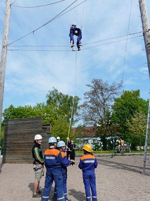 Hoch hinaus (Foto: Jens Wenke)
