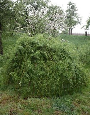 Abenteuer auf dem Spielplatz (Foto: Ibe)