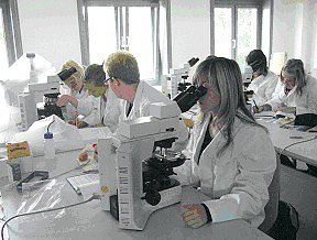 Nachwuchs gef&ouml;rdert (Foto: FHN)