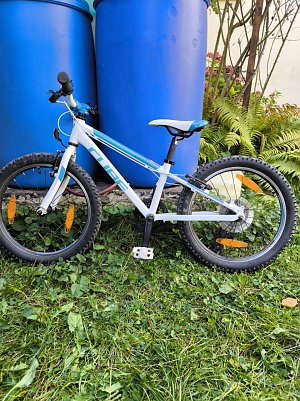 Cube 20 Zoll mit Gangschaltung  (Foto: )