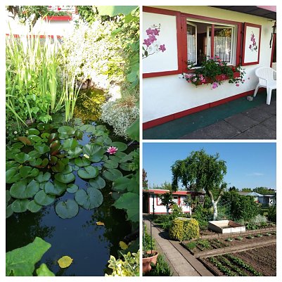 Collage vom eigenen Garten (Foto: )