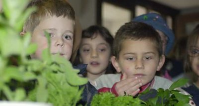 Minister mag Milch (Foto: nnz)