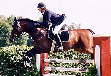 Fliegende Pferde auf dem Scheunenhof (Foto: nnz)