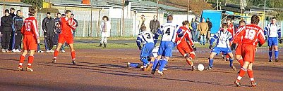 Nicht beeindruckt (Foto: nnz)