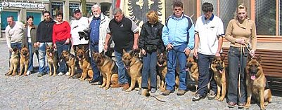 Vierbeinige Filmstars (Foto: nnz)